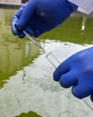 Water sample. Bacterial control of pool water. Checking the amount of algae, harmful substances and chemicals. Laboratory study of