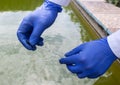 Water sample. Bacterial control of pool water. Checking the amount of algae, harmful substances and chemicals. Laboratory study of