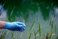 Water sample. A man`s hand in a blue glove holds a test tube with a water sample. Background