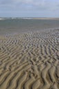 Water and sand on beach, netherlands