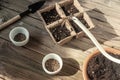 Water the seeds of dill and parsley sown in peat pots. Garden on the windowsill with your own hands Royalty Free Stock Photo