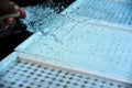 Water the seeds in the holes of the sponge arranged in a foam tray to add moisture