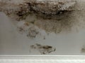 Water seepage on the ceiling of the house so unique