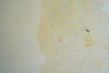 Water seeps into the walls of leaking pipes, causing water stains and peeling paint Royalty Free Stock Photo