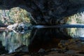 Water and several trees of the forest seen from under the cliff Royalty Free Stock Photo