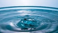 Water in the shape of a Dolphin. Water splash close-up. Crown of blue water. Water drop. Frozen splashes