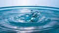 Water in the shape of two dolphins. Water splash close-up. Crown of blue water. Water drop. Frozen splashes