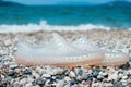 Water shoes on beach. Holiday concept