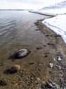 Water shore line in winter at the Lucky Peak reservoir