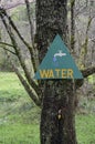 Water sign on tree in forest Royalty Free Stock Photo