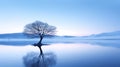 Ethereal Seascapes: A Serene Lake With A Solitary Tree