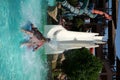 Water Slide in Aquapark Resort in Egipt Royalty Free Stock Photo