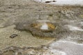 Water in small geyser erupting in Upper Geyser Basin, Yellowstone National Park