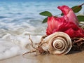 Water snail shell and red hibiscus flower Royalty Free Stock Photo