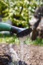 Water the soil from the watering can. Close-up, concept gardening, yard work Royalty Free Stock Photo