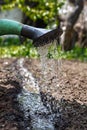 Water the soil from the watering can. Close-up, concept gardening, yard work Royalty Free Stock Photo