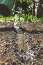 Water the soil from the watering can. Close-up, concept gardening, yard work Royalty Free Stock Photo