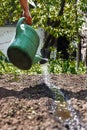 Water the soil from the watering can. Close-up, concept gardening, yard work Royalty Free Stock Photo