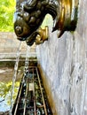 water source fountain fish macro