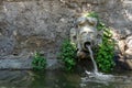 water source with a human figure head expelling water looking like he is vomiting.