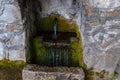 A water source in the masonry overgrown with green moss Royalty Free Stock Photo