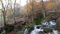 Water source Tornareccia in the National Park of Abruzzo in Italy