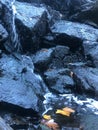 Water spills down beautiful black rocks with yellow autumn leaves. Royalty Free Stock Photo