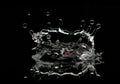 Water droplet splash Royalty Free Stock Photo