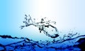 Water splash or bubbles on blue with fish. water textured background. Royalty Free Stock Photo