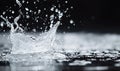 Water splash crown on dark reflective surface Royalty Free Stock Photo