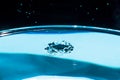 Water splash in crown shape and falling drop. Splash of the falling drops of water. Water drop on blue background. Blue water Royalty Free Stock Photo