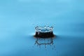 Water splash with drops on blue background and reflection Royalty Free Stock Photo