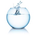 Water splash in a fishbowl