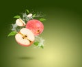 Water splash on fresh apple with leaves isolated on green background Royalty Free Stock Photo