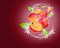 Water splash on fresh nectarine with mint isolated on red background Royalty Free Stock Photo