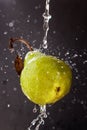 Water splash and fruits isolated on dark backgroud. Fresh green pear Royalty Free Stock Photo