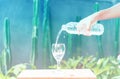 Water splash in glass Select focus blurred background.Drink water pouring in to glass over sunlight and natural green background. Royalty Free Stock Photo