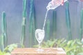 Water splash in glass Select focus blurred background.Drink water pouring in to glass over sunlight and natural green background. Royalty Free Stock Photo