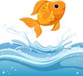 A water splash with goldfish on white background Royalty Free Stock Photo