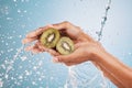 Water splash, hands of woman and kiwi in studio on a blue background. Cleaning, hygiene and female model washing fruits Royalty Free Stock Photo