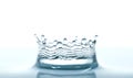 Water splash like crown on white background Royalty Free Stock Photo