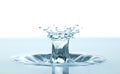 Water splash like crown on white background Royalty Free Stock Photo