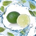 Water splash with lime and green mint isolated on white Royalty Free Stock Photo