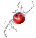 Water splash with nectarine isolated Royalty Free Stock Photo