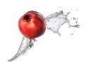 Water splash with nectarine isolated Royalty Free Stock Photo