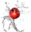 Water splash with nectarine isolated Royalty Free Stock Photo