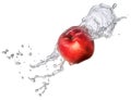 Water splash with nectarine isolated Royalty Free Stock Photo