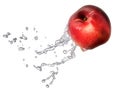 Water splash with nectarine isolated Royalty Free Stock Photo