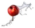 Water splash with nectarine isolated Royalty Free Stock Photo