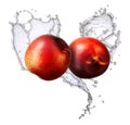 Water splash with nectarine isolated Royalty Free Stock Photo